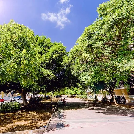 Penthouse San Miguel 5-8 Торрев'єха