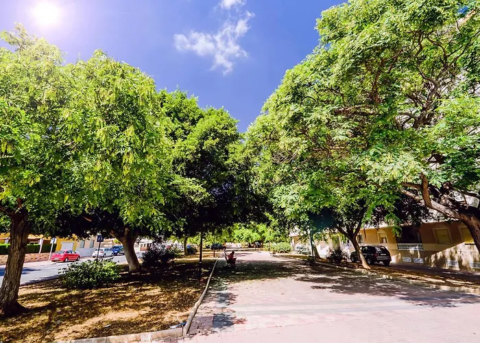 Penthouse San Miguel 5-8 Torrevieja